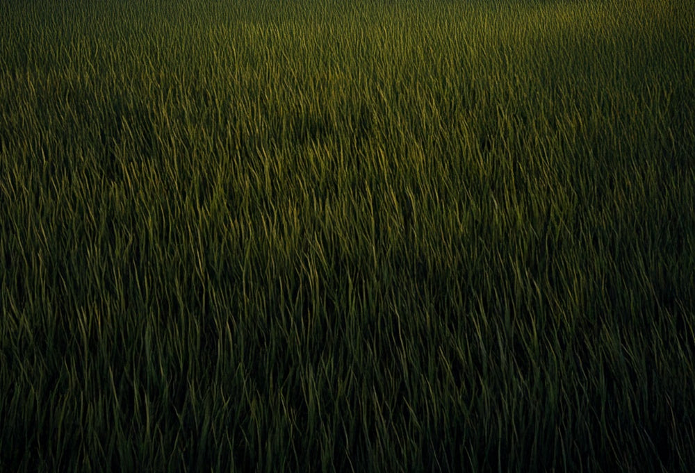 Kate Dunkles grünes Gras Boden Gummibodenmatte für Fotografie von Mini MakeBelieve - Kate Backdrop.de