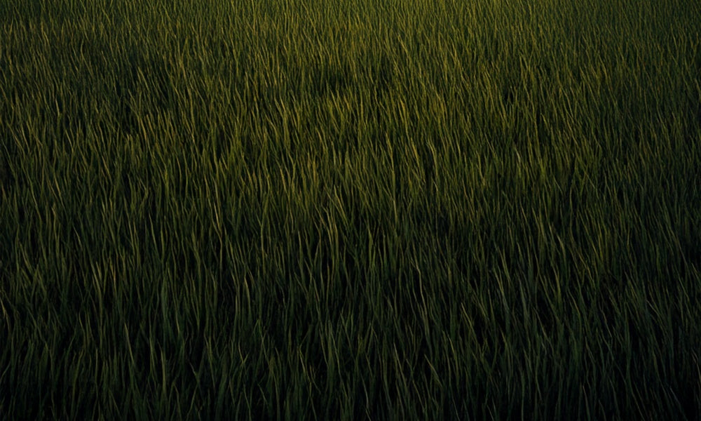 Kate Dunkles grünes Gras Boden Gummibodenmatte für Fotografie von Mini MakeBelieve - Kate Backdrop.de