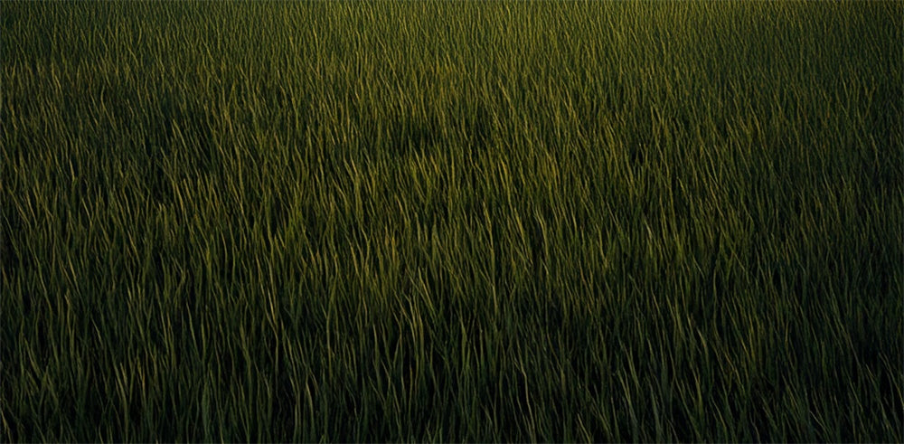 Kate Dunkles grünes Gras Boden Gummibodenmatte für Fotografie von Mini MakeBelieve - Kate Backdrop.de