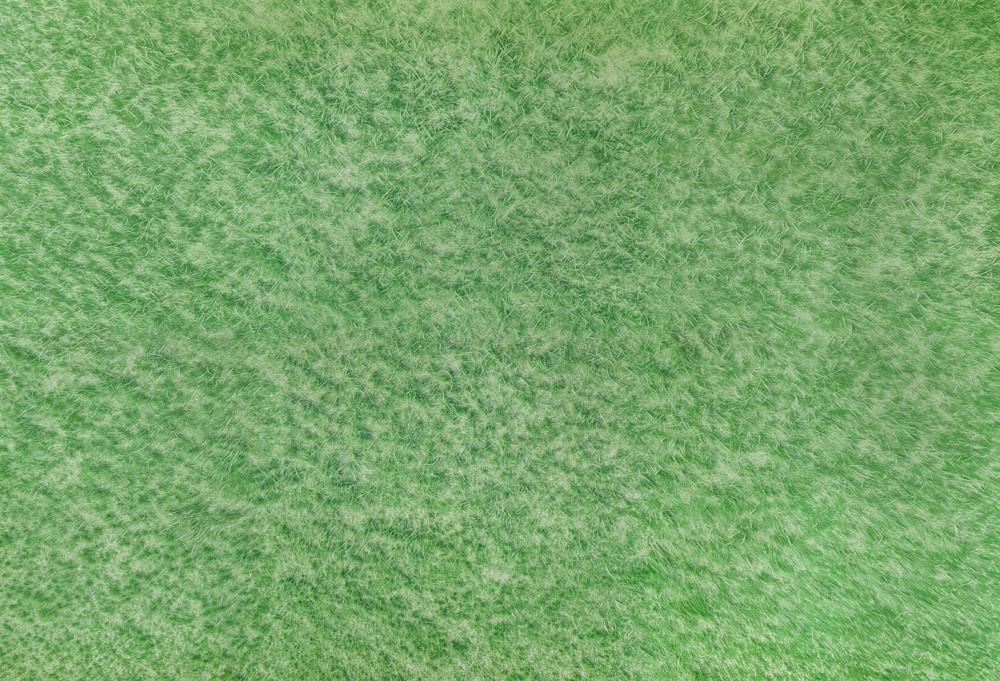 Kate Frühlingslichtgrünes Gras Boden Gummibodenmatte für Fotografie