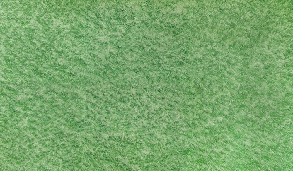 Kate Frühlingslichtgrünes Gras Boden Gummibodenmatte für Fotografie