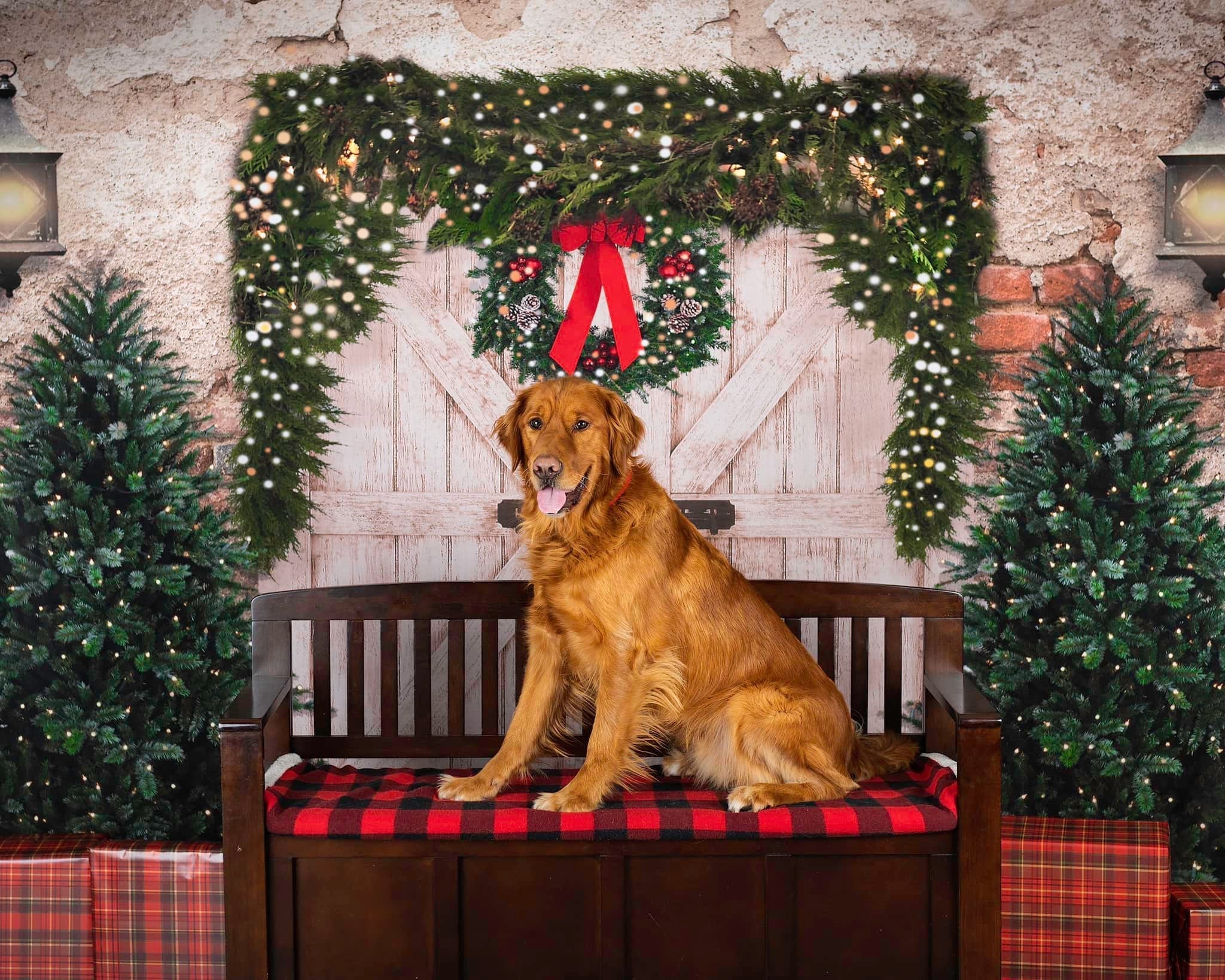 Kate Weihnachten Fleece Hintergrund Ziegelwand Tür & Xmas B?ume Entworfen von JS Photography - Kate Backdrop.de