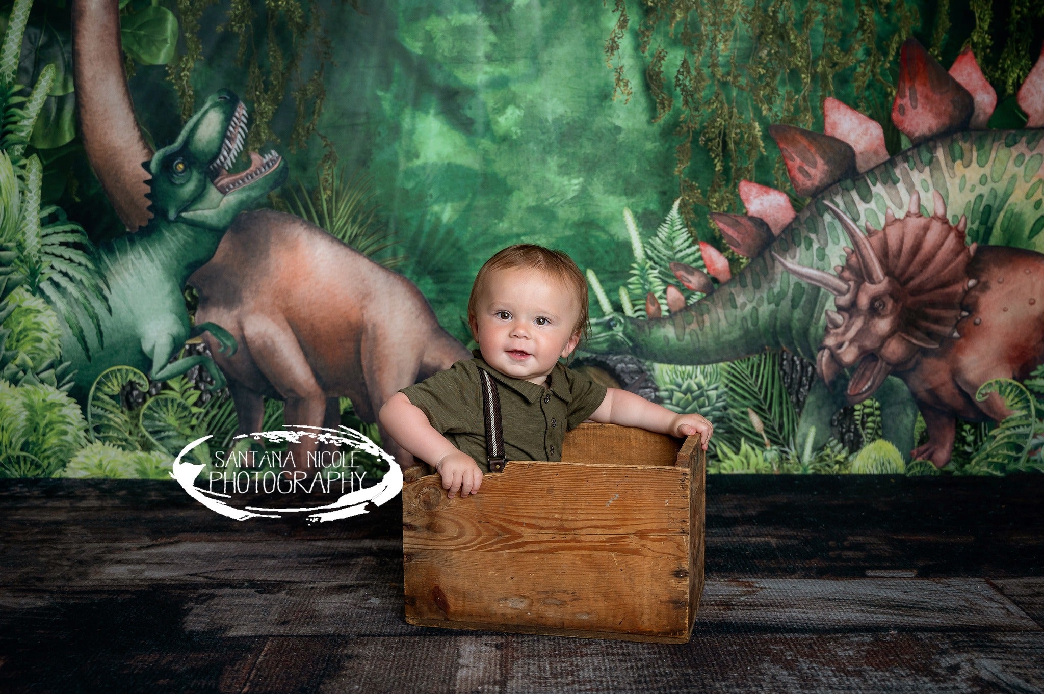 Kate Frühling Dschungel Abenteuer Dinosaurier Hintergrund von Mandy Ringe - Kate Backdrop.de