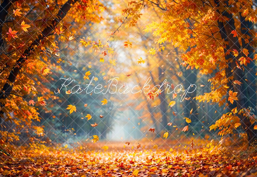 Kate Herbst Blätter Boden Sonnenlicht Hintergrund Entworfen von Emetselch - Kate Backdrop.de