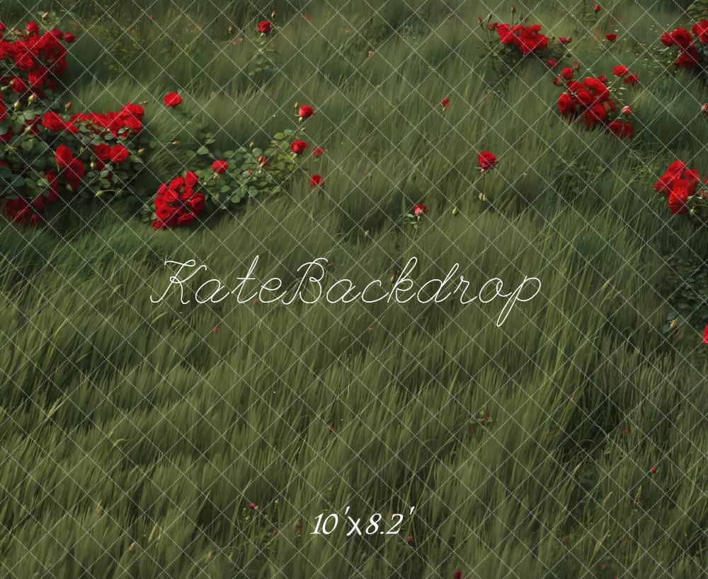 Kate Blumen Wiese Rote Rosen Hintergrund Entworfen von Kate Image