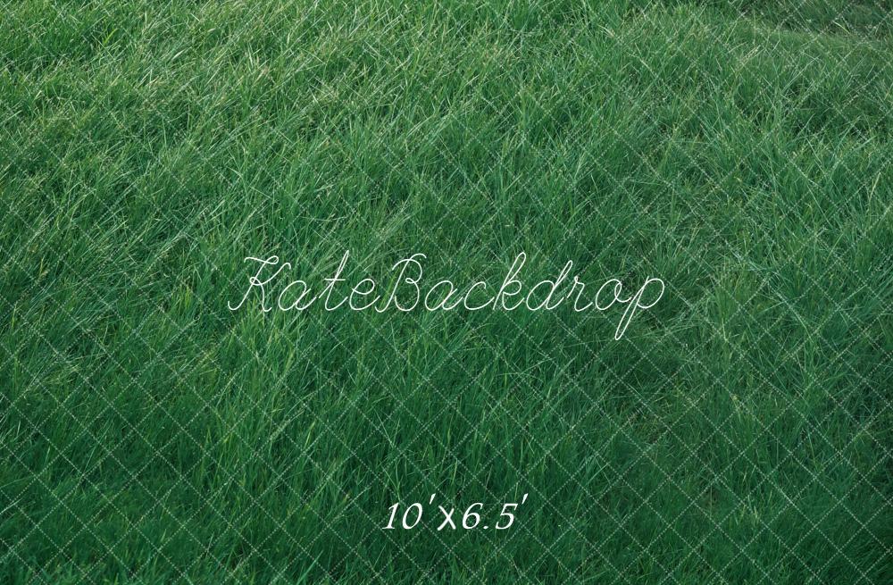 Kate Wiese Gras Grün Hintergrund Entworfen von Kate Image - Kate Backdrop.de
