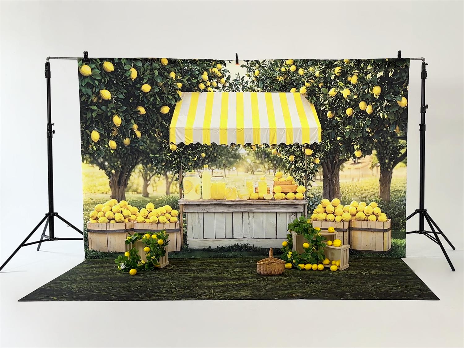 Kate Sommer-Limonadenstand-Fotokit - Kate Backdrop.de