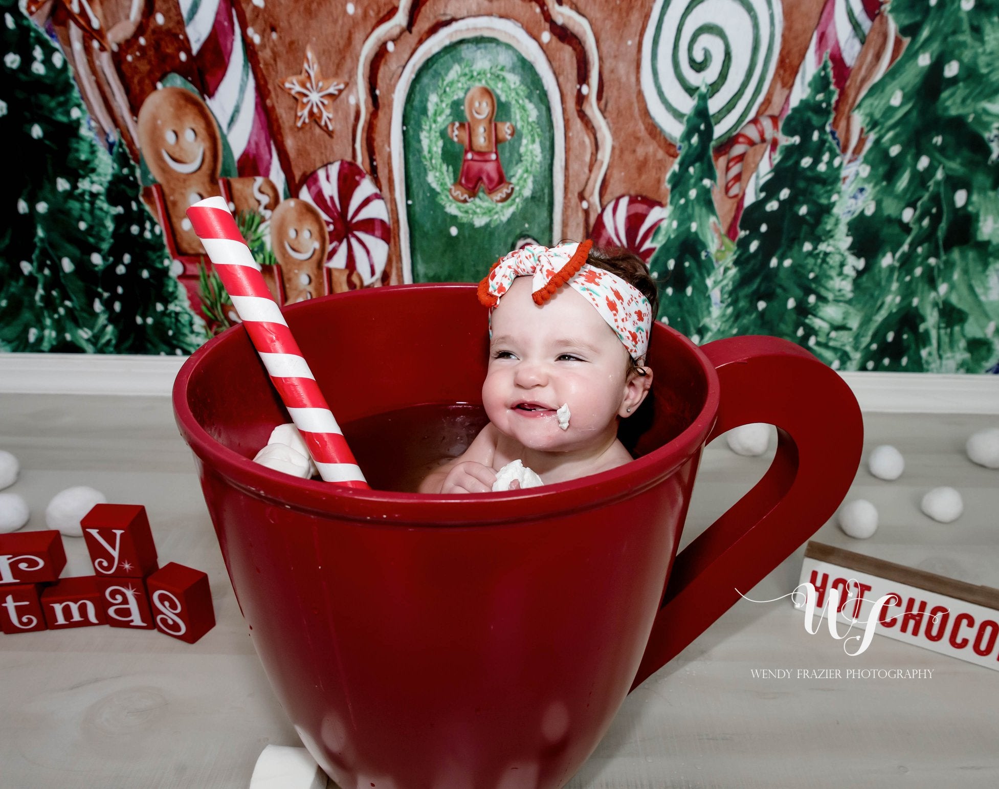 Kate Weihnachten Hintergrund außerhalb Lebkuchenhaus Entworfen von GQ - Kate Backdrop.de