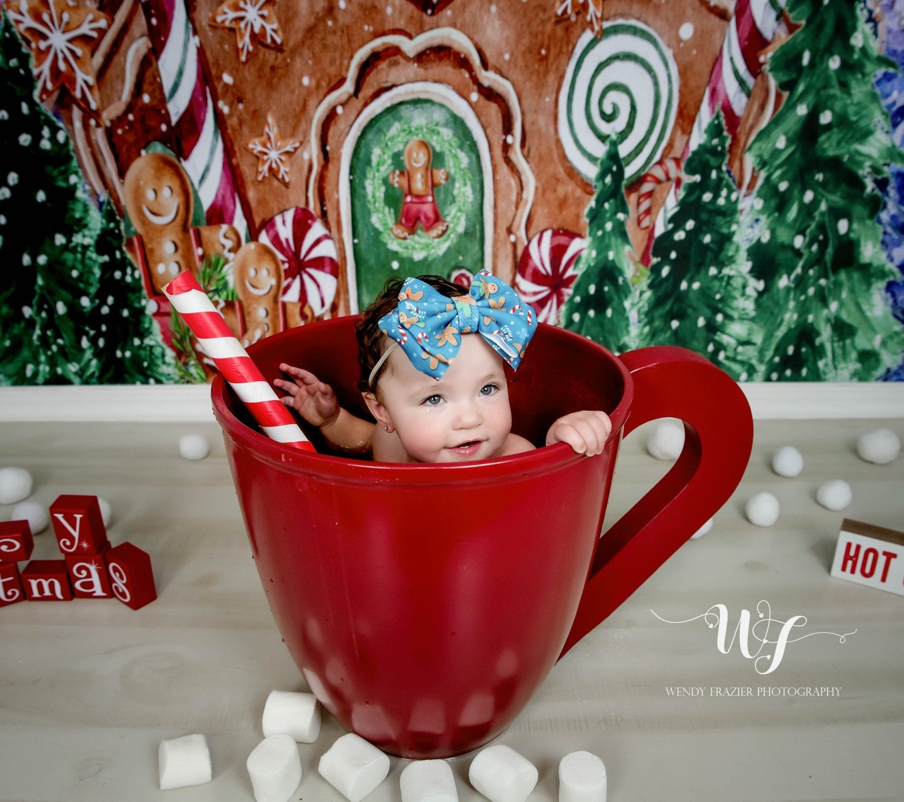 Kate Weihnachten Hintergrund außerhalb Lebkuchenhaus Entworfen von GQ - Kate Backdrop.de