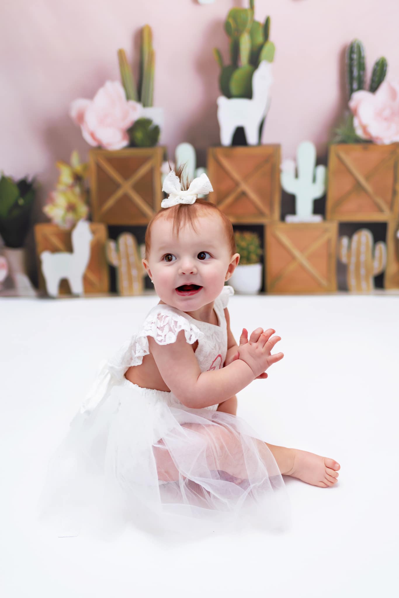 Kate Sommer Pastelllamas mit kaktusrosa Hintergrund für Kinder Entworfen von Mandy Ringe Photography - Kate Backdrop.de