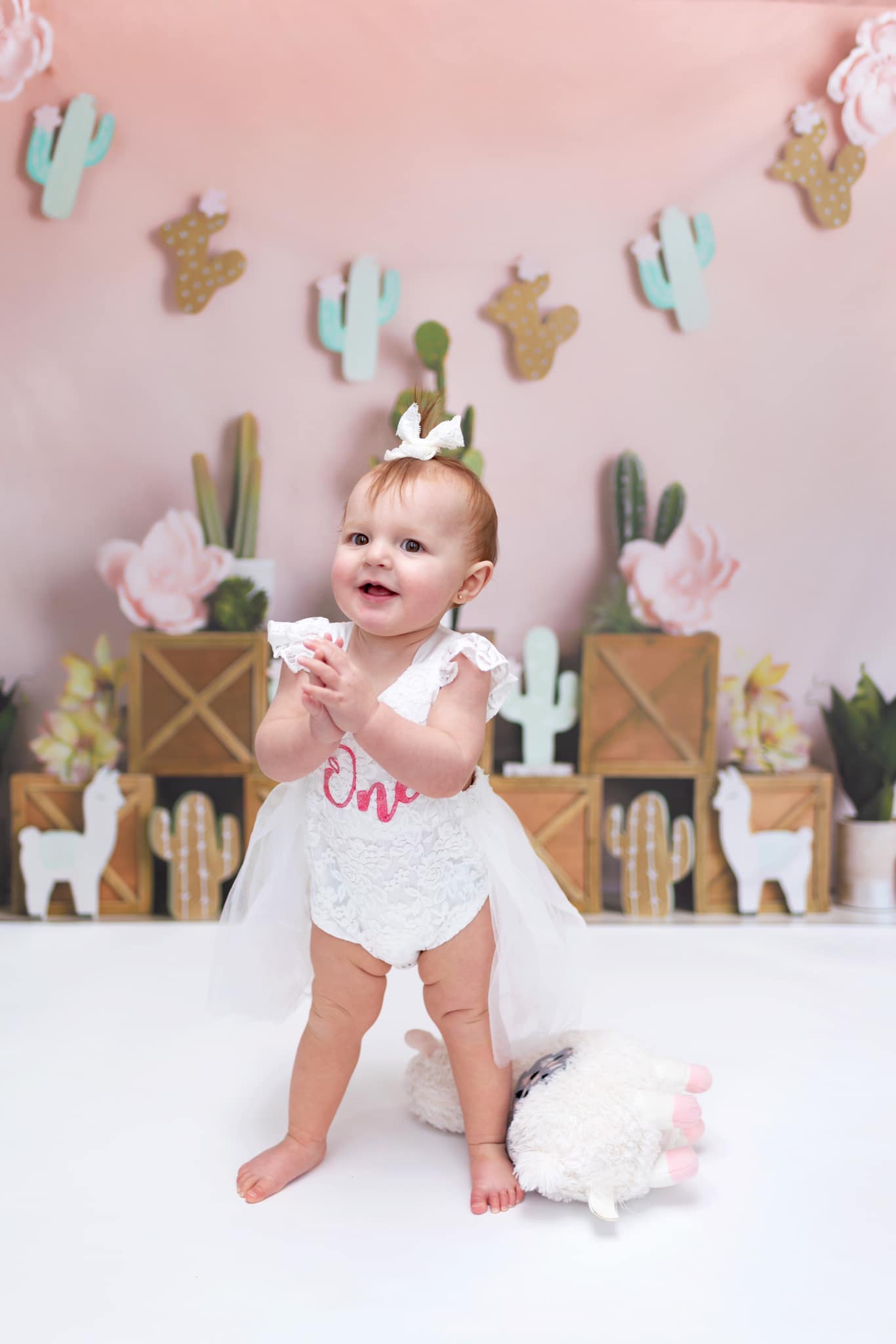 Kate Sommer Pastelllamas mit kaktusrosa Hintergrund für Kinder Entworfen von Mandy Ringe Photography - Kate Backdrop.de