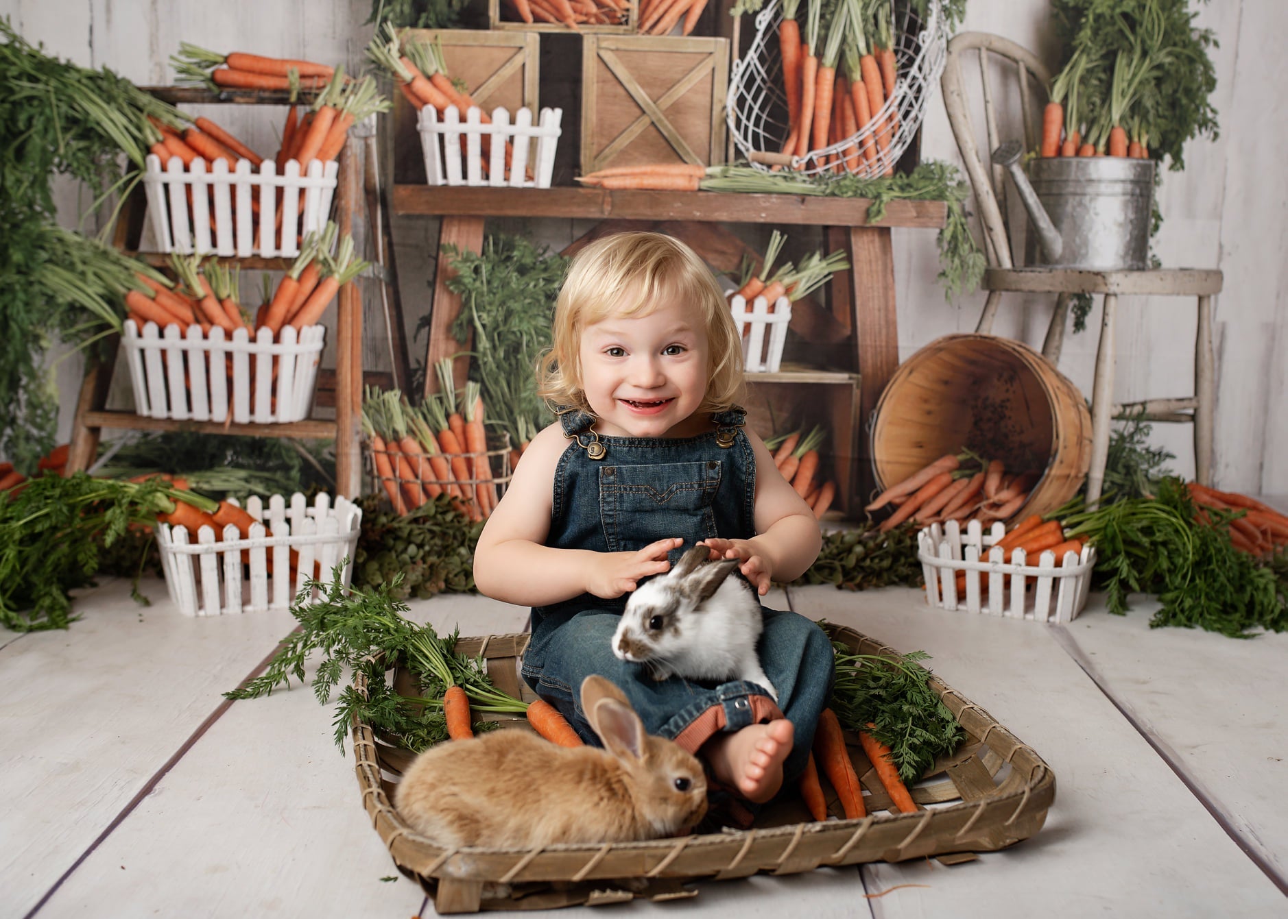 Kate Frühling Karotte grün Hintergrund Entworfen von Mandy Ringe Photography - Kate Backdrop.de