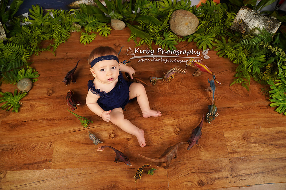 Kate Dinosaurier Dinosaur Luftballons Kinder Hintergrund Entworfen von Arica Kirby - Kate Backdrop.de