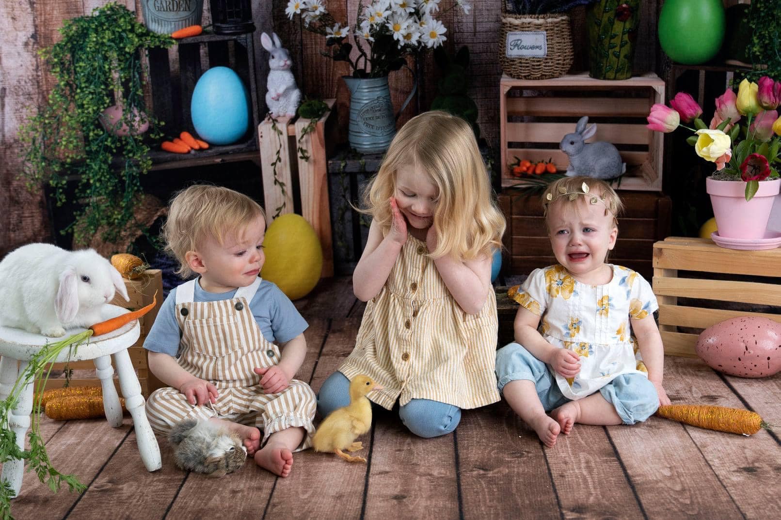 Kate Ostern Karotte Kaninchen Ostereier bunte Blume Hintergrund für Fotografie - Kate Backdrop.de