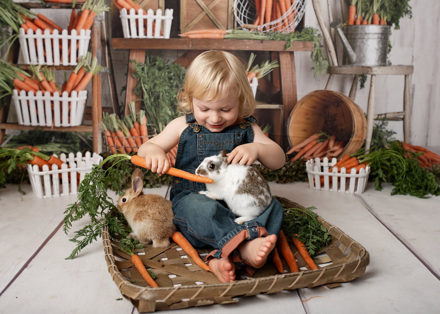 Kate Frühling Karotte grün Hintergrund Entworfen von Mandy Ringe Photography - Kate Backdrop.de