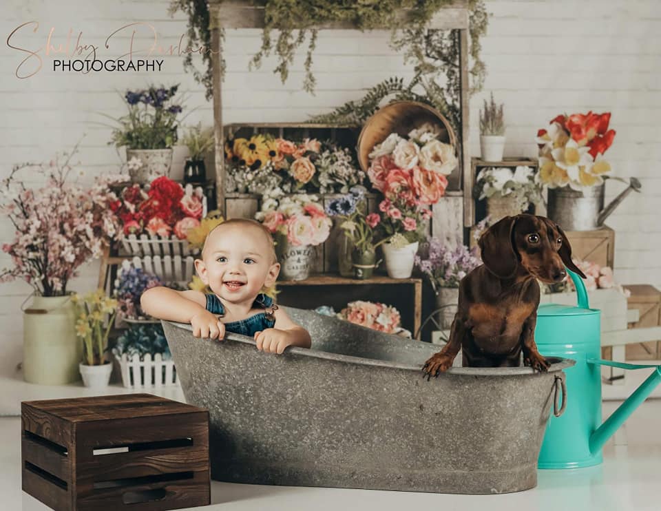 Kate Frühling Blumen Ständer Hintergrund entworfen von Mandy Photography - Kate Backdrop.de