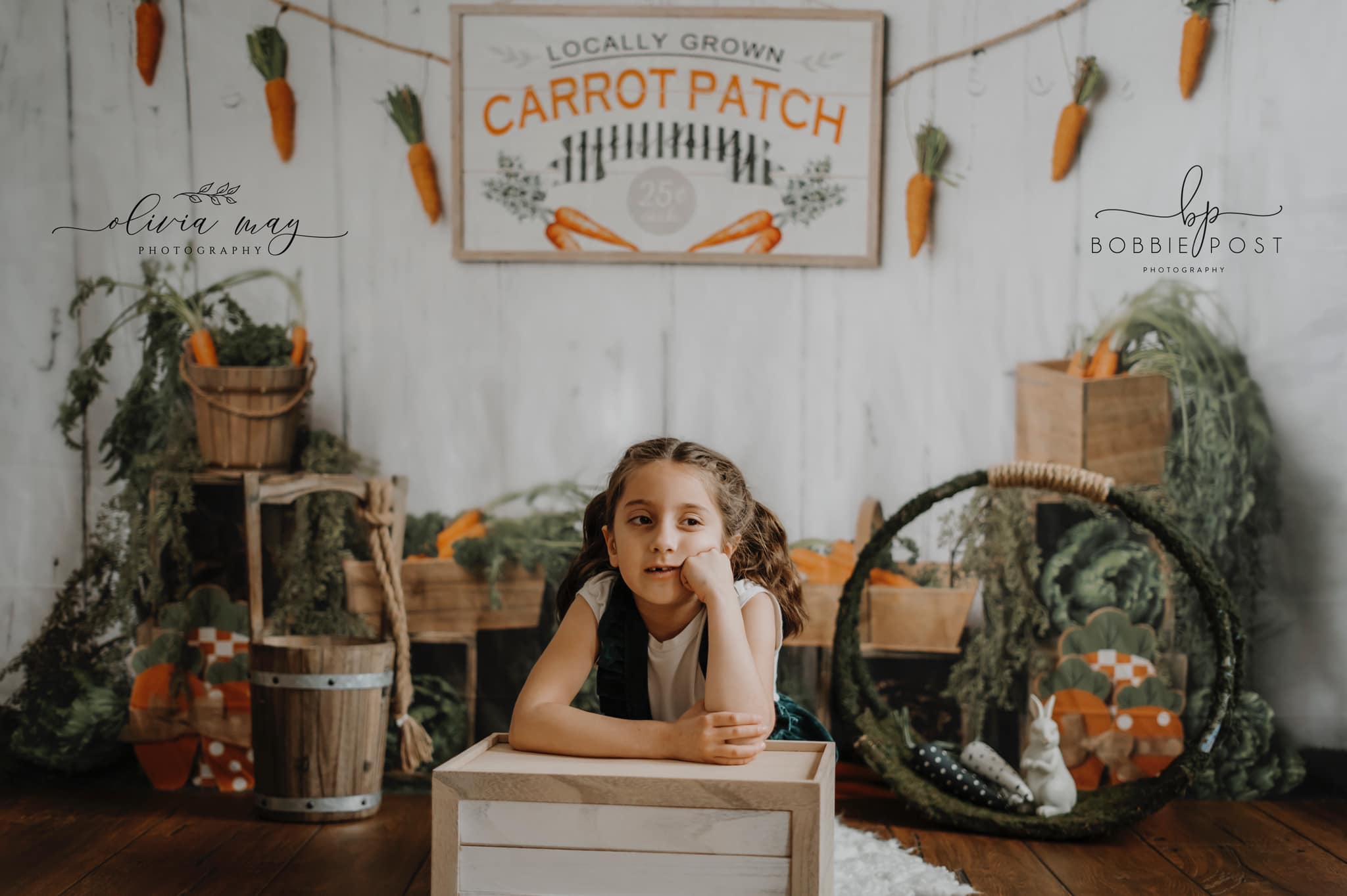 Kate Frühling Karotte Hintergrund Entworfen von Megan Leigh Photography - Kate Backdrop.de