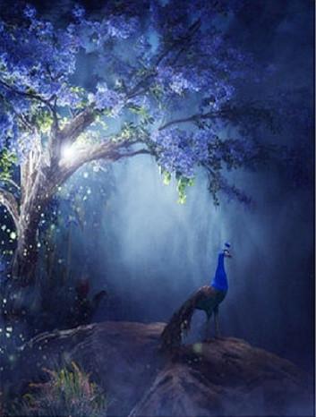 Katebackdrop:Kate Blue Night Tree Printed Backdrop Peacock For Children Fantasy Background