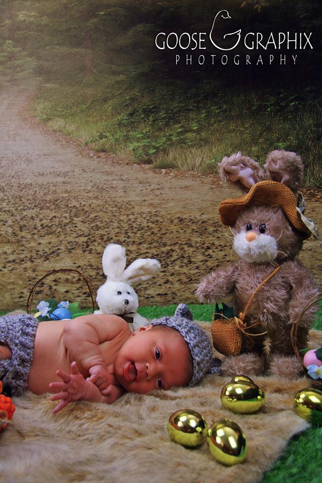 Katebackdrop:Kate Autumn Fantastic Forest Scenery Backdrop With Road For Photography