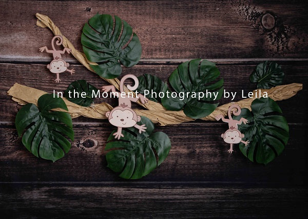 Kate Kinderaffe um hölzernen Hintergrund