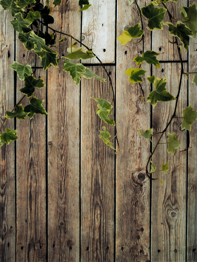 Katebackdrop:Kate Spring Scenery Wooden Wall With Leaves Backdrop