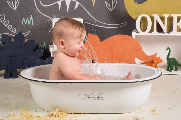 Kate Dinosaur Park Kinder Kulisse für Fotografie Entworfen von Amanda Moffatt - Kate Backdrop.de