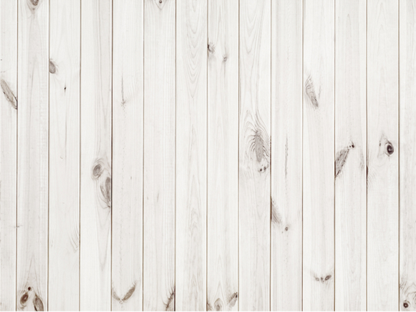 Katebackdrop:Kate Solid White Retro Wooden Wall Rubber Floor Mat