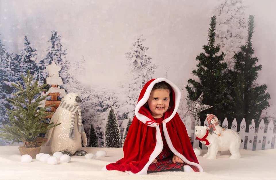 Kate Winter Kiefern Dekorationen Hintergrund Entworfen von Jerry_Sina - Kate Backdrop.de