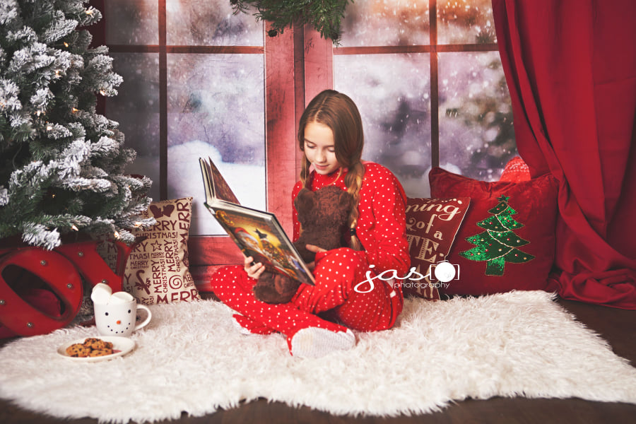 Kate Weihnachtsschnee Weihnachten außerhalb der Fenster-Hintergründe für Fotografie - Kate Backdrop.de