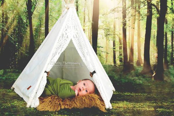 Kate Sommer-Waldhintergrund-Glanzphotographie - Kate Backdrop.de