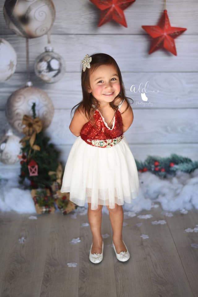 Kate Gray Wood Weihnachtsdekor Kulisse - Kate Backdrop.de