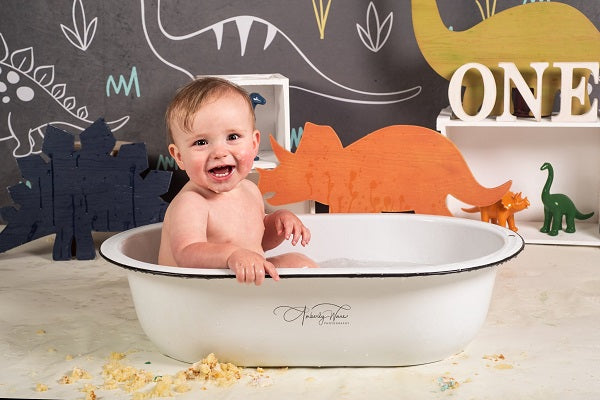 Kate Dinosaur Park Kinder Kulisse für Fotografie Entworfen von Amanda Moffatt - Kate Backdrop.de