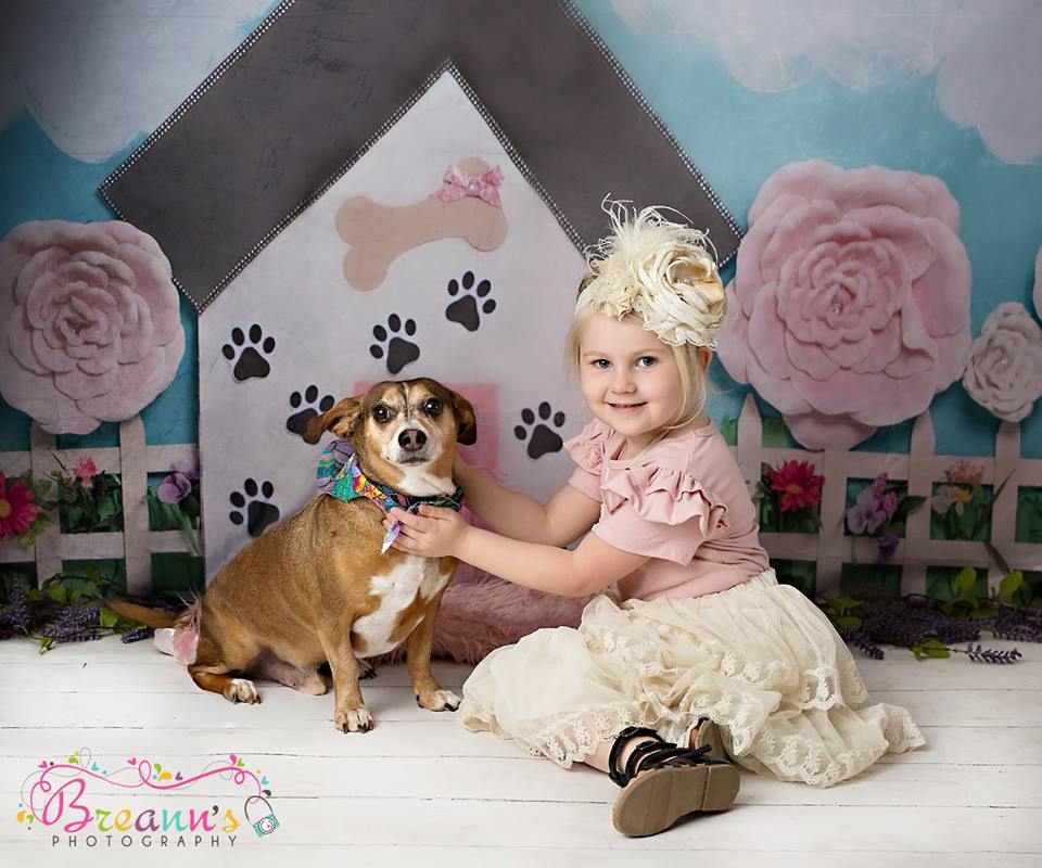 Kate Pet Park Geländer mit Blumen Frühling Kinder Kulisse für Fotografie von Erin Larkins entworfen - Kate Backdrop.de