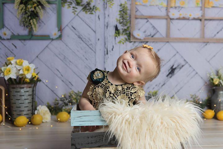 Kate Retro Holz Zitrone Farbe und Gnseblumchen Frühling Hintergrund - Kate Backdrop.de