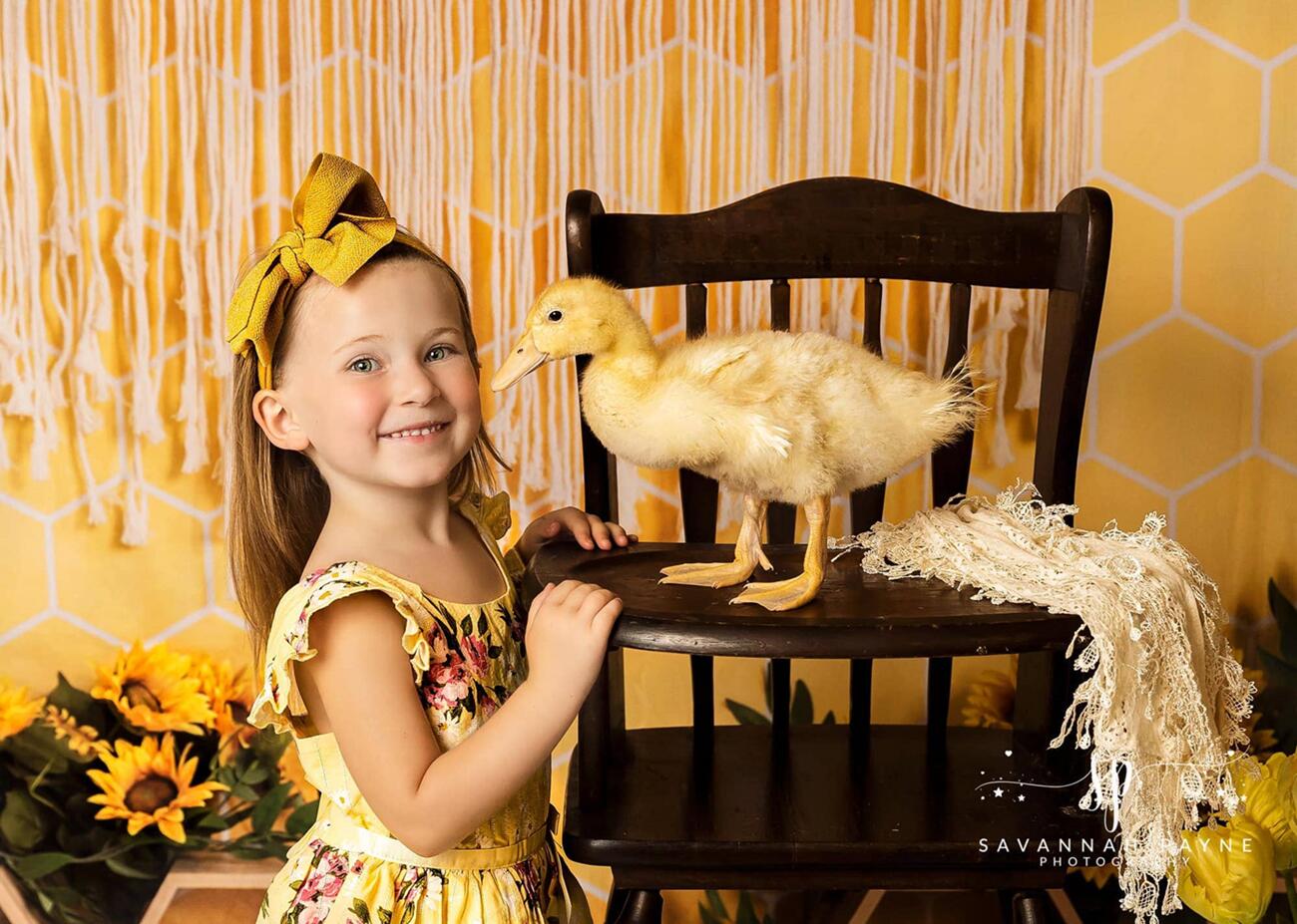 Kate Bienenwabe Hintergrund Boho Geburtstag Frühling von Emetselch