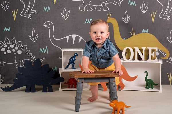 Kate Dinosaur Park Kinder Kulisse für Fotografie Entworfen von Amanda Moffatt - Kate Backdrop.de