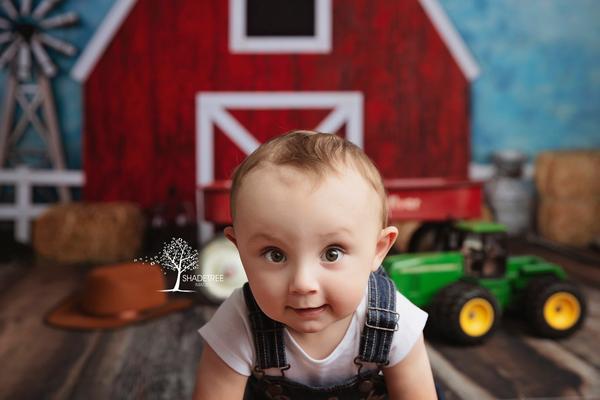 Kate Barnyard Spaß Kinder Sommer Kulissen Von Arica Kirby - Kate Backdrop.de