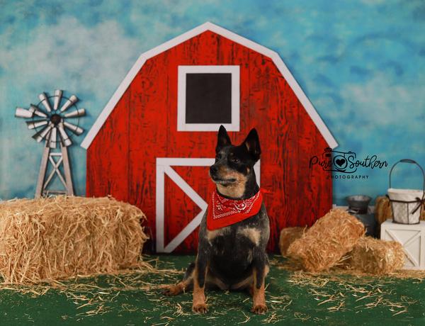 Kate Barnyard Spaß Kinder Sommer Kulissen Von Arica Kirby - Kate Backdrop.de