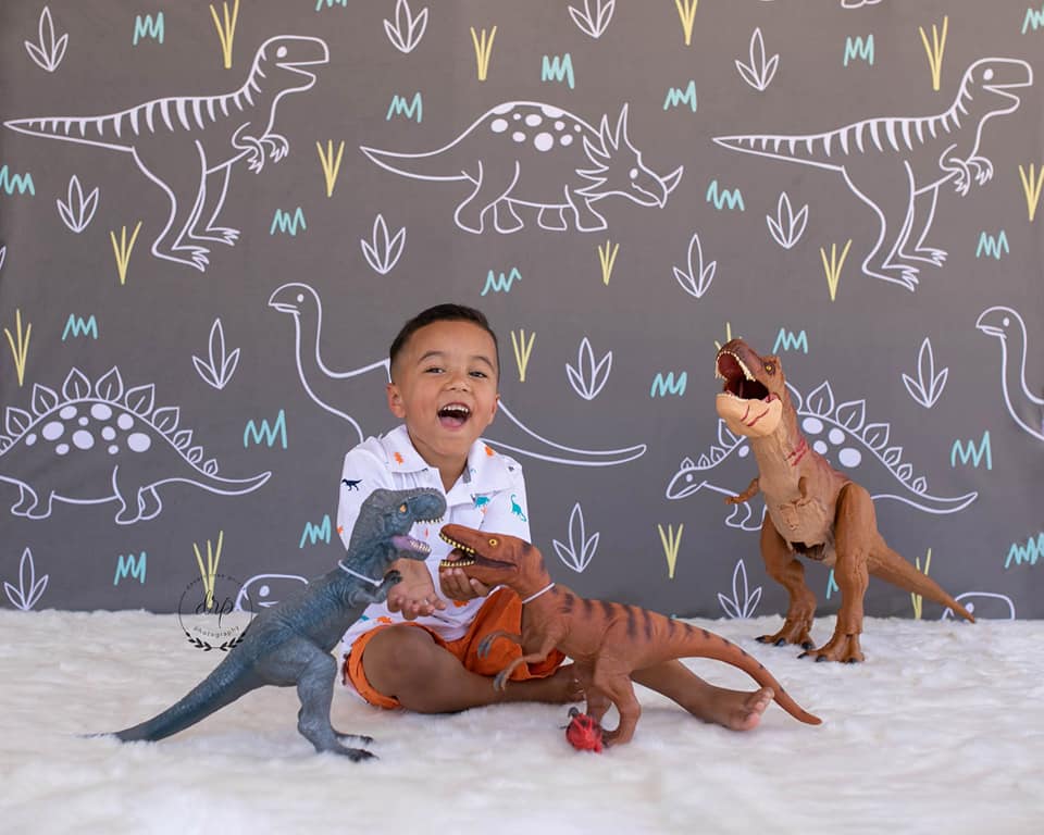 Kate Dinosaur Park Kinder Kulisse für Fotografie Entworfen von Amanda Moffatt - Kate Backdrop.de