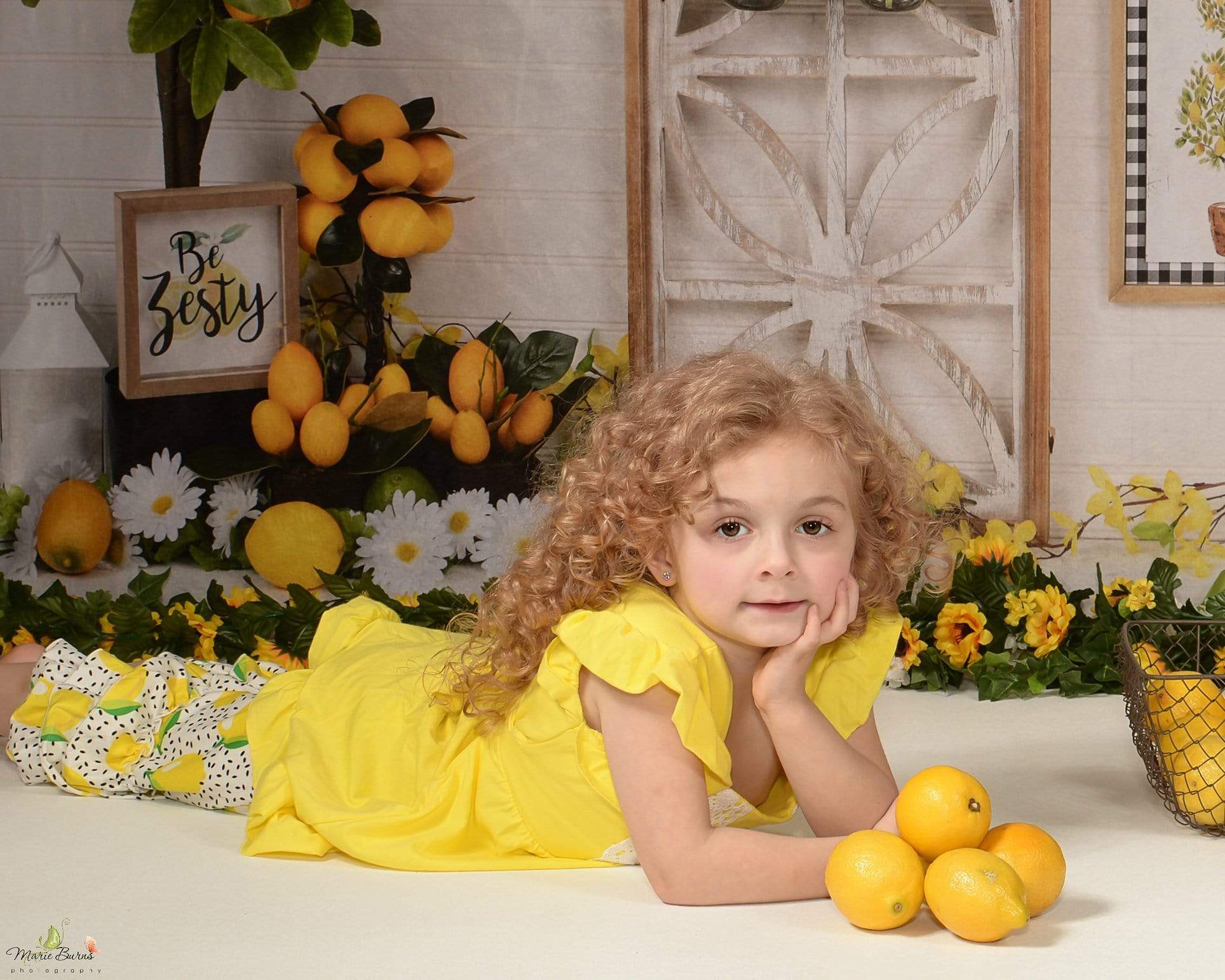 Katebackdrop鎷㈡綖Kate Lemon Be Zesty Spring Backdrop for Photography