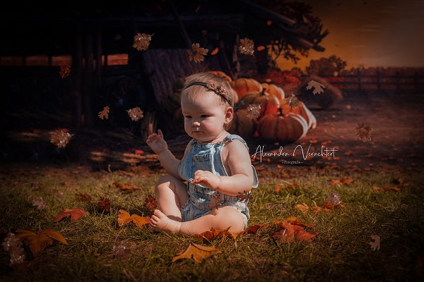 Kate Herbst Ernte Kürbisse Sonnenuntergang Gefallen Blätter Hintergrund für die Fotografie - Kate Backdrop.de