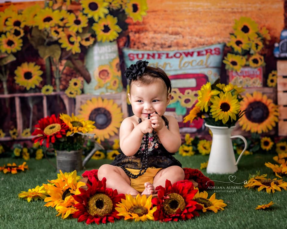 Kate Sonnenblume Bauernhof Feld Sommer Hintergrund - Kate Backdrop.de