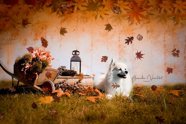 Kate Retro Fallen Ahornblätter beschädigten hölzerne Hintergründe für Fotografie - Kate Backdrop.de