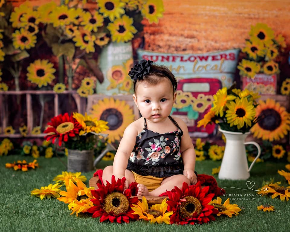 Kate Sonnenblume Bauernhof Feld Sommer Hintergrund - Kate Backdrop.de