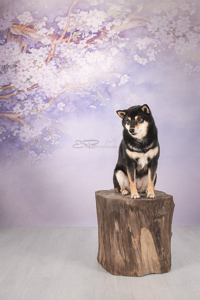 Kate Lila Hintergrund Blumen Fotografie Hintergrund Kinder - Kate Backdrop.de