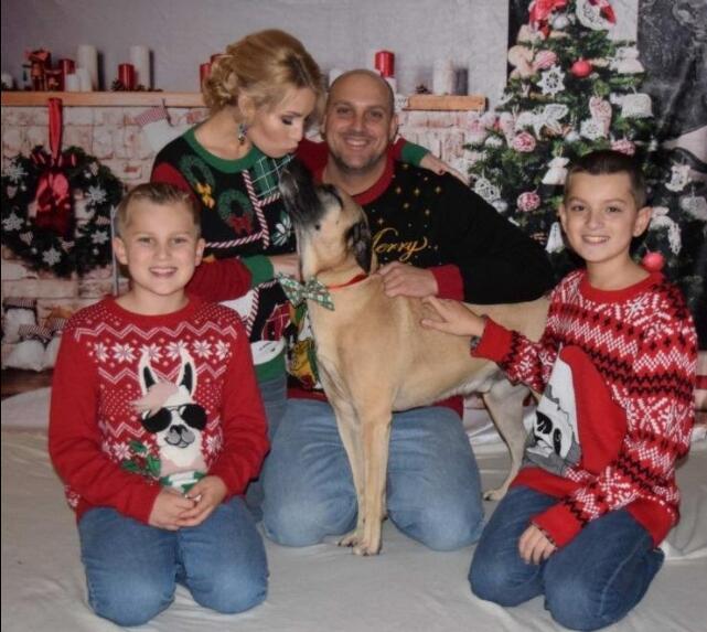 Katebackdrop:Kate Christmas Tree Backdrop Bear for Children Photography Background