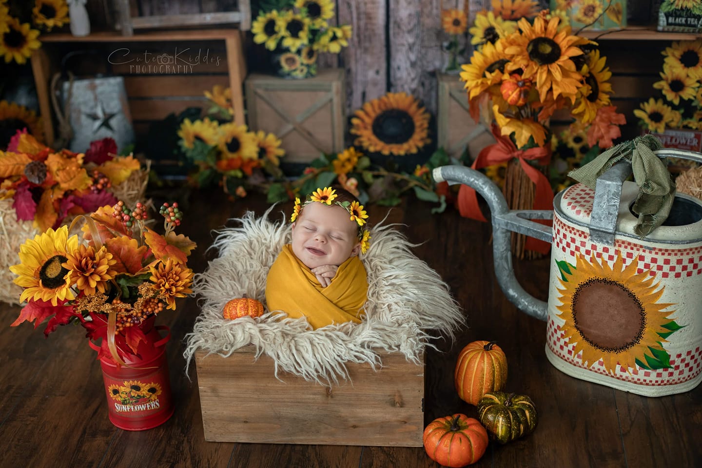 Kate Sonnenblume Geschenk Geschäft Holz Sommer Hintergrund - Kate Backdrop.de