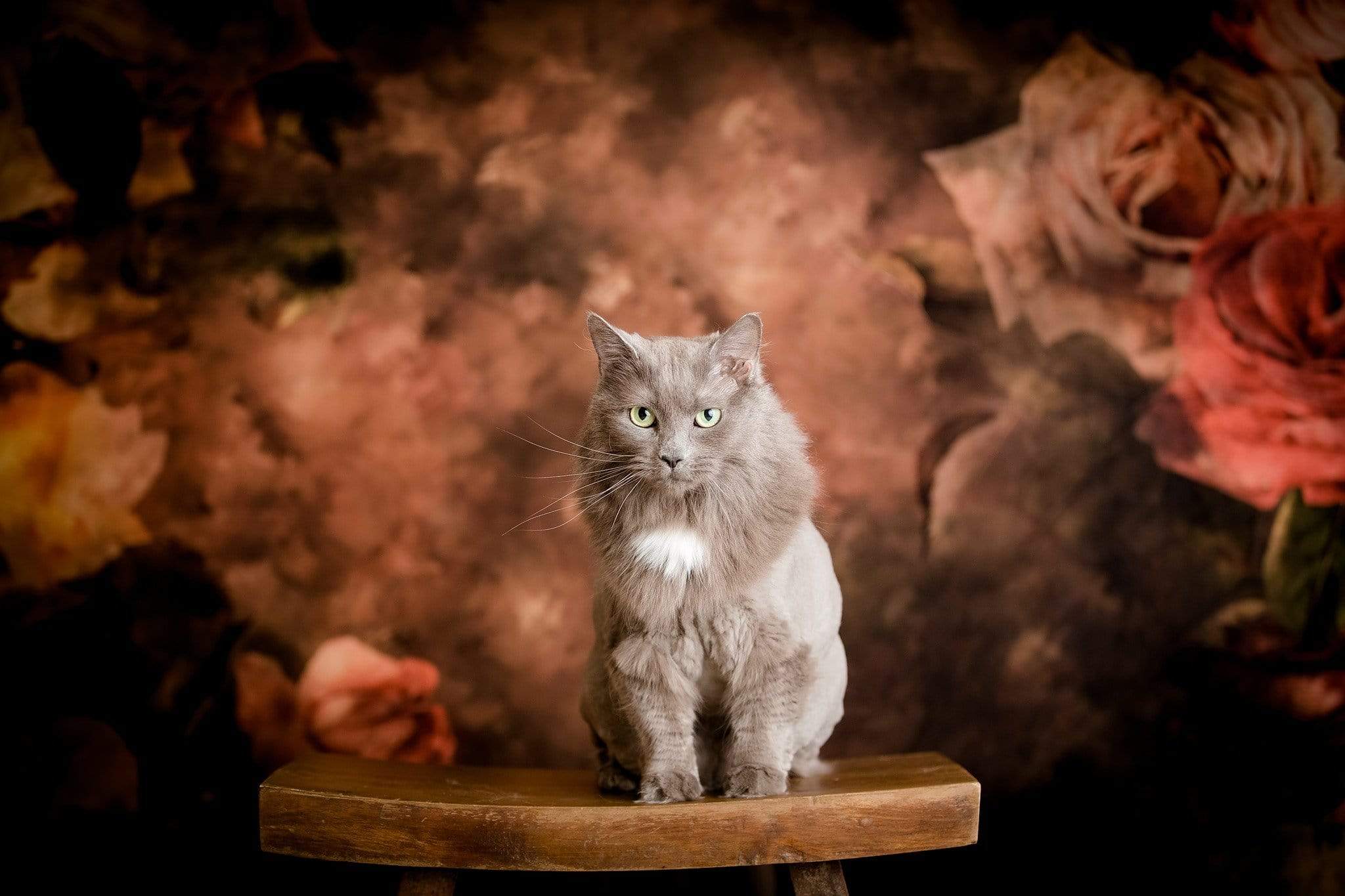 Katebackdrop:Kate Retro Abstract Flowers Backdrop Designed By Jerry_Sina