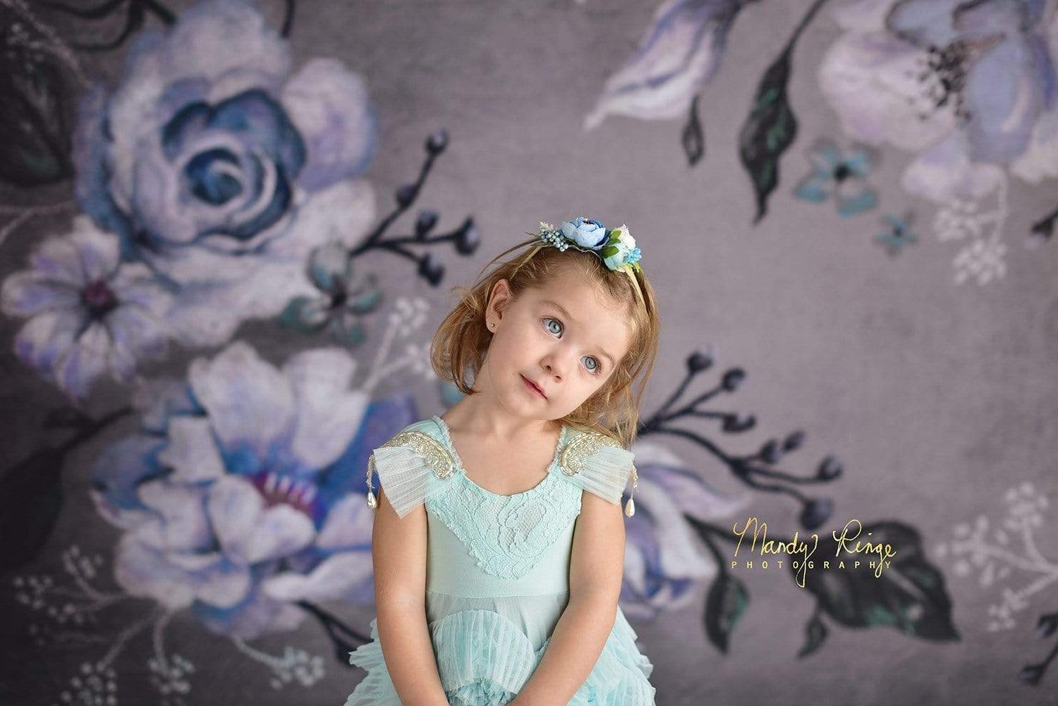 Katebackdrop£ºKate Fine Art Winter Floral Backdrop Designed By Mandy Ringe Photography