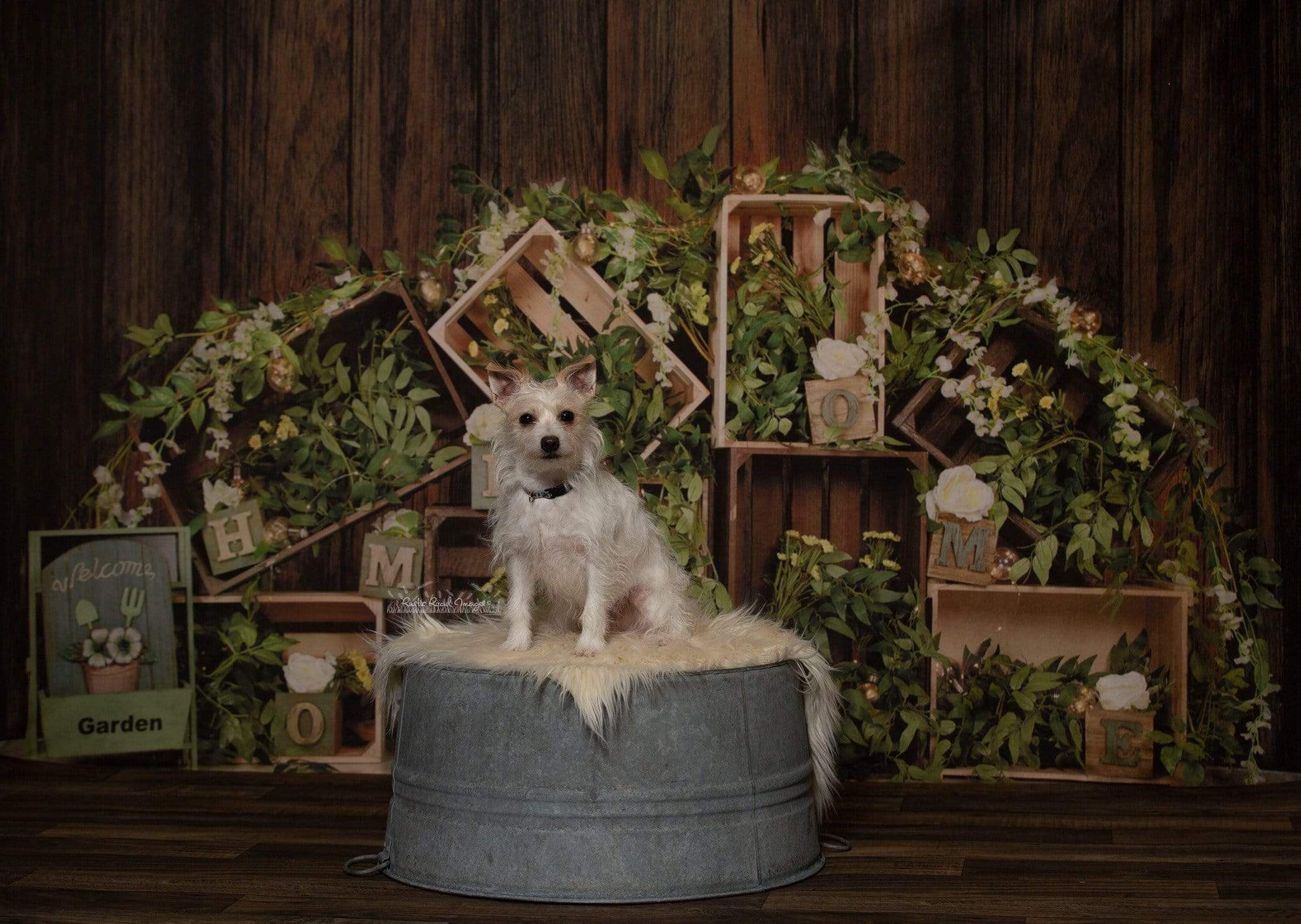 Katebackdrop:Kate Floral Decoration Wooden Spring/Easter Backdrop Designed by Jia Chan Photography